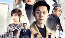 鸡毛飞上天免费在线观看,创业传奇，情感纠葛，尽在这部励志大剧！