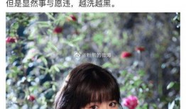 娱乐圈有大瓜吃,揭秘明星幕后真相