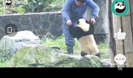 熊叔娱乐爆料微博视频下载