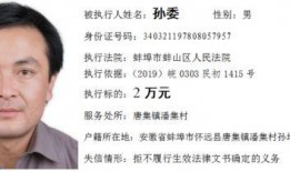 安徽怀远爆料最新消息视频