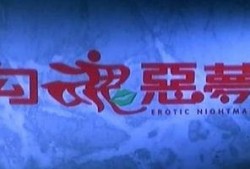 勾魂绮梦在线观看,穿越时空的惊悚悬疑之旅