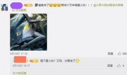 斗罗小白爆料视频大全,揭秘精彩剧情与幕后花絮