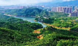 惠州楼盘爆料事件最新消息,真相大白，购房者权益如何保障？