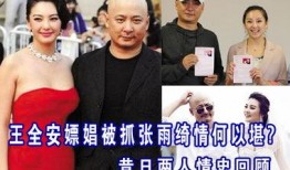 娱乐大爆料王全安小说,王全安小说中的娱乐圈风云