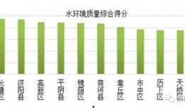 大长清在线观看,揭秘网络直播的魅力与挑战