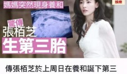 三胎生父爆料视频大全下载,视频大全下载背后的真相与争议