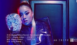 王家大姐爆料视频大全最新,揭秘娱乐圈不为人知的秘密