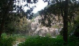 大长清在线观看,揭秘网络直播的魅力与挑战