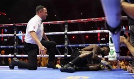 张志磊团队爆料视频